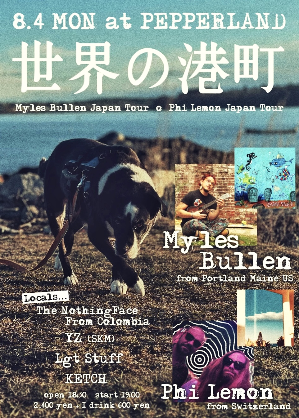 Tour Flyer Pepperland